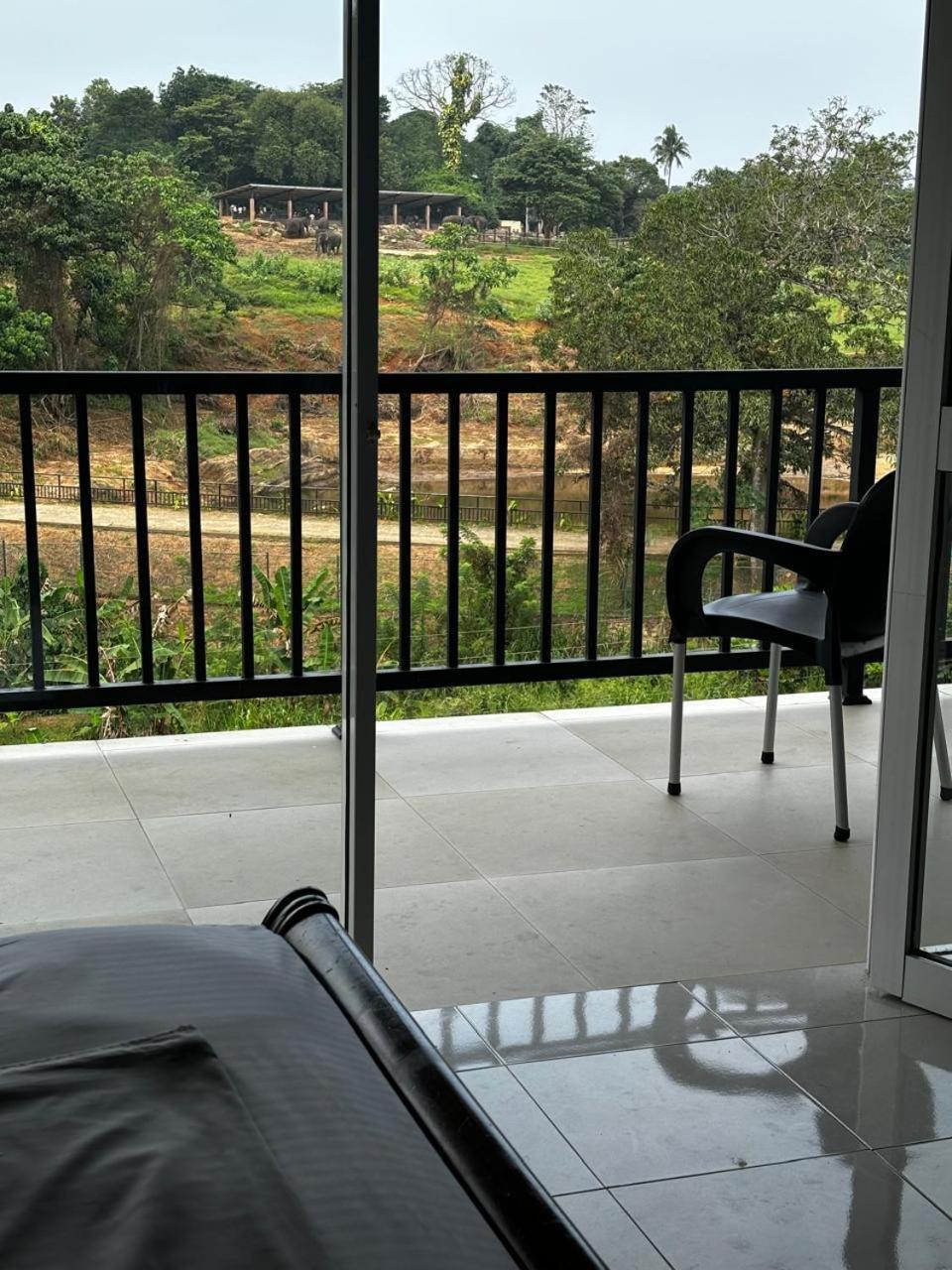 Pinnawala Elephant Front View Hotel Rambukkana ภายนอก รูปภาพ