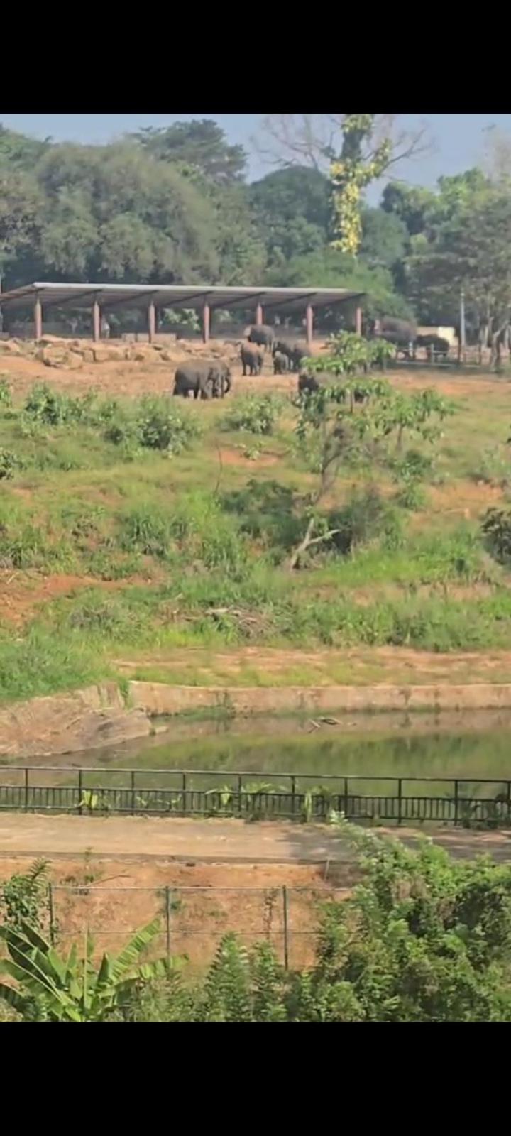 Pinnawala Elephant Front View Hotel Rambukkana ภายนอก รูปภาพ